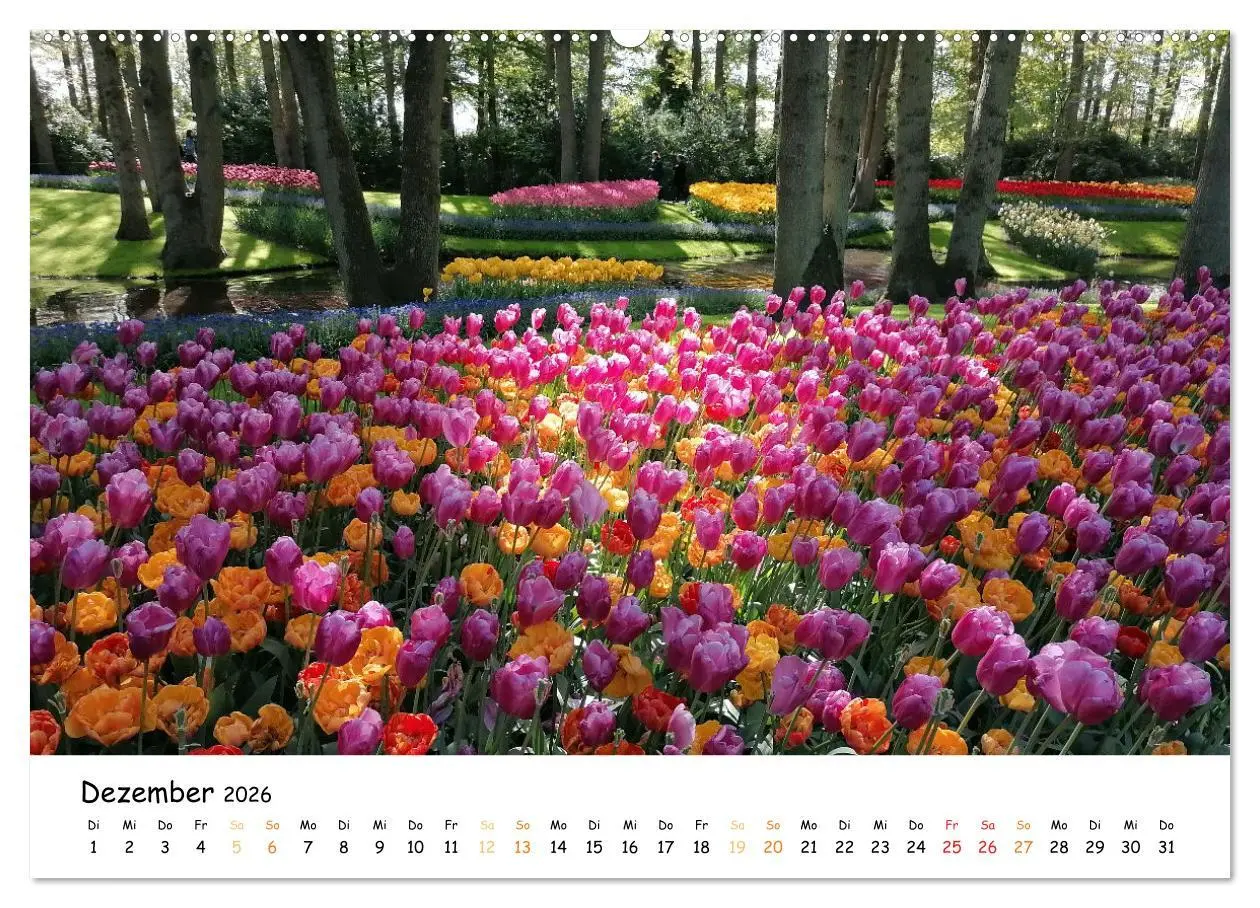 Bild: 9783457414033 | Auf Tour im Land der Tulpen (hochwertiger Premium Wandkalender 2026...