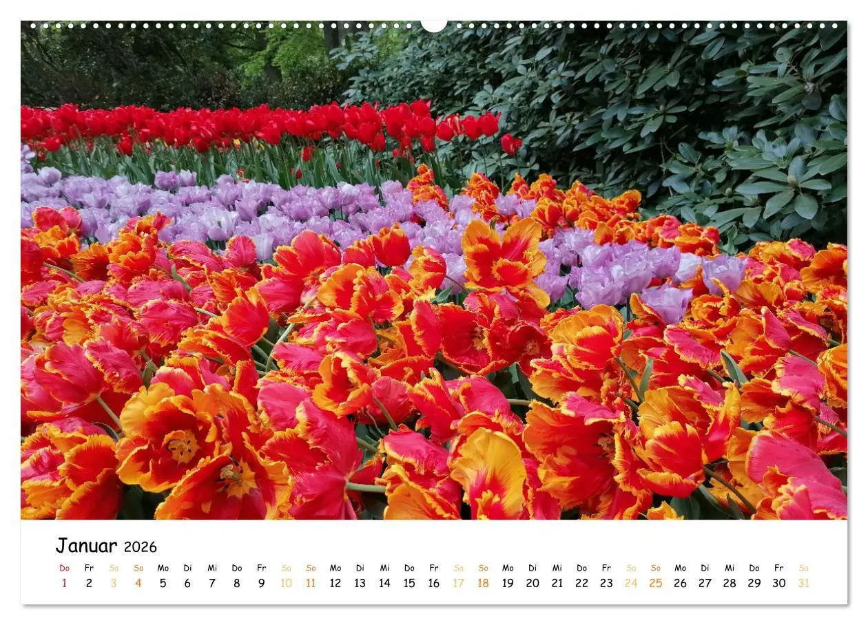 Bild: 9783457414033 | Auf Tour im Land der Tulpen (hochwertiger Premium Wandkalender 2026...