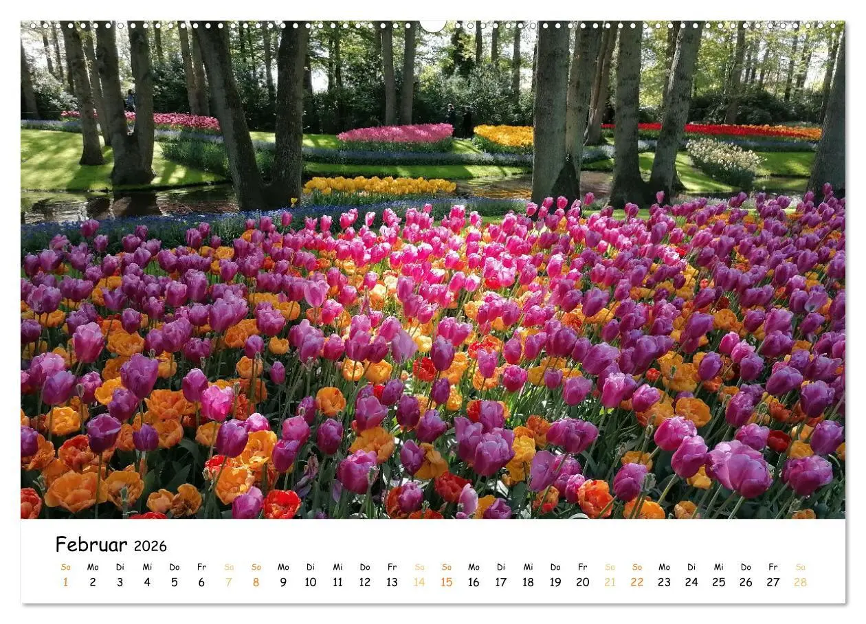 Bild: 9783457414033 | Auf Tour im Land der Tulpen (hochwertiger Premium Wandkalender 2026...