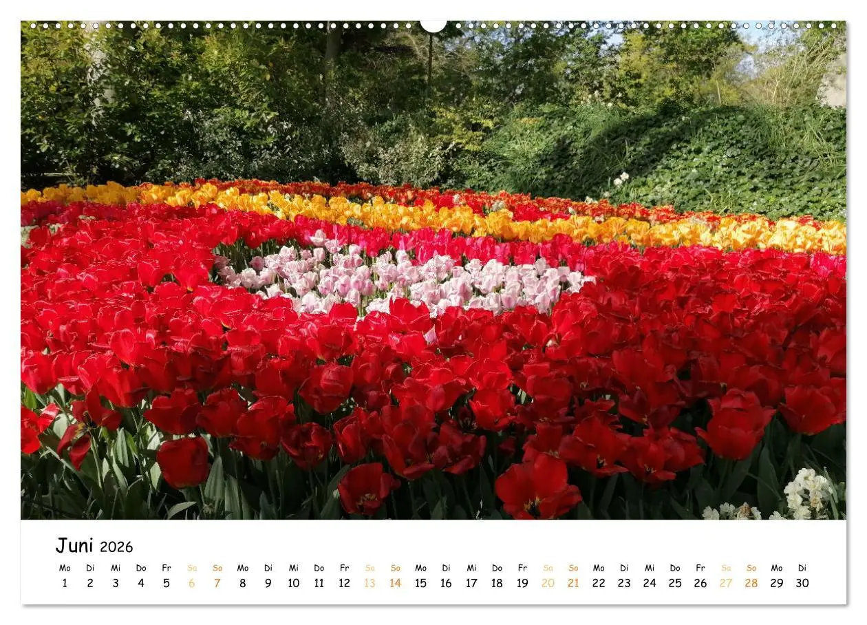 Bild: 9783457414033 | Auf Tour im Land der Tulpen (hochwertiger Premium Wandkalender 2026...