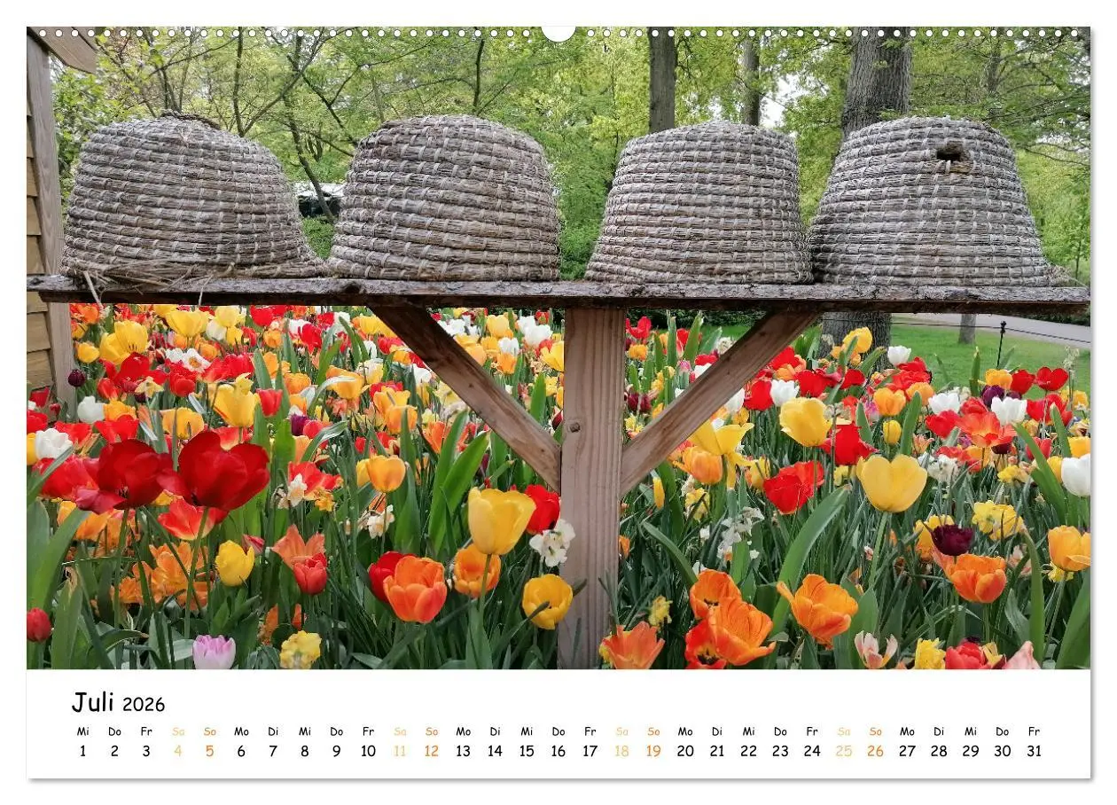 Bild: 9783457414033 | Auf Tour im Land der Tulpen (hochwertiger Premium Wandkalender 2026...