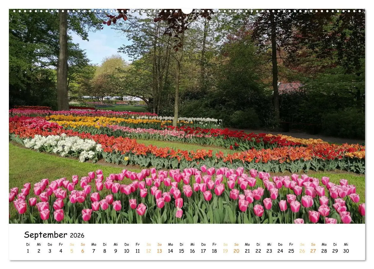 Bild: 9783457414033 | Auf Tour im Land der Tulpen (hochwertiger Premium Wandkalender 2026...