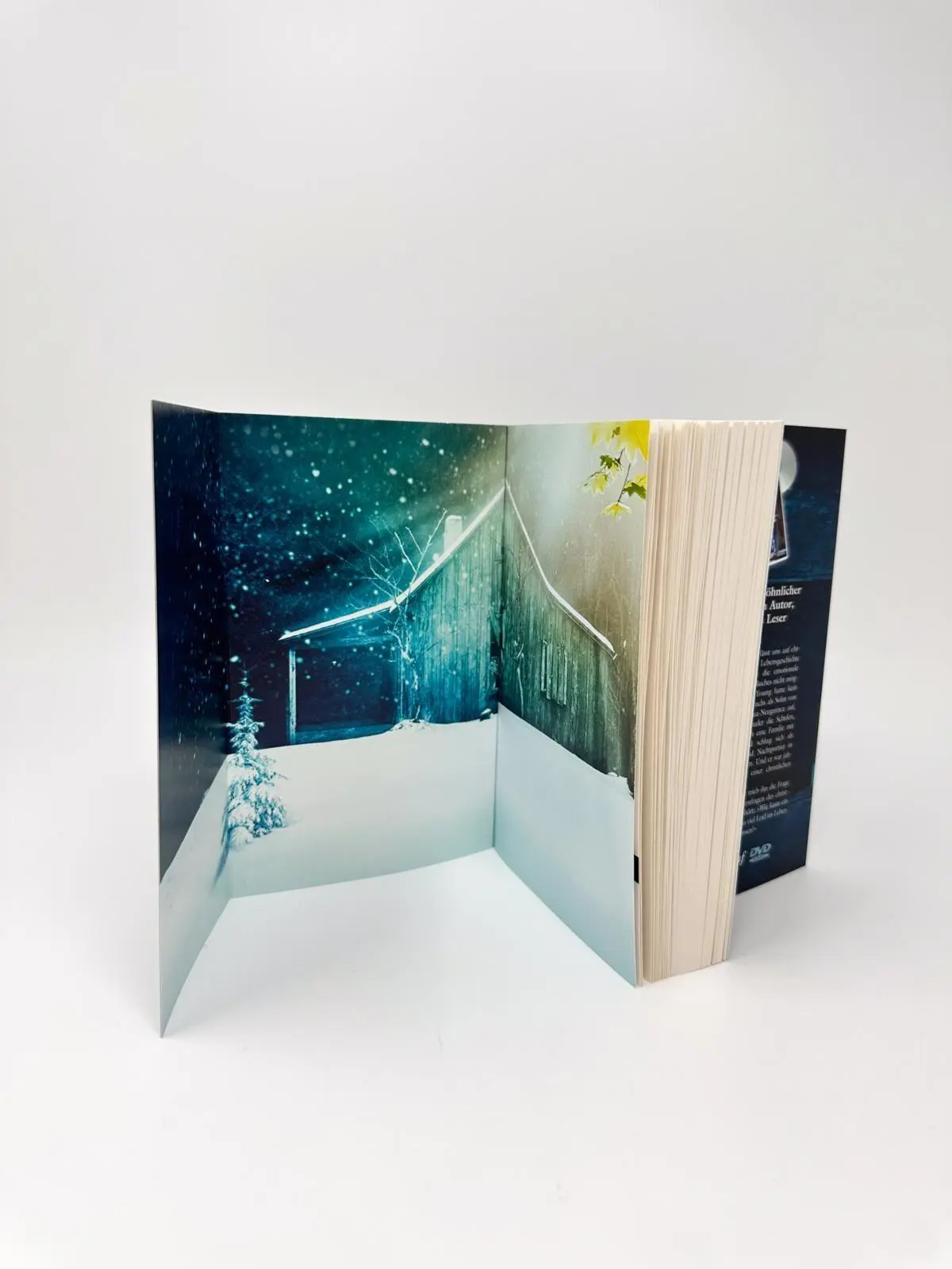 Bild: 9783548284033 | Die Hütte | Ein Wochenende mit Gott | William Paul Young | Taschenbuch
