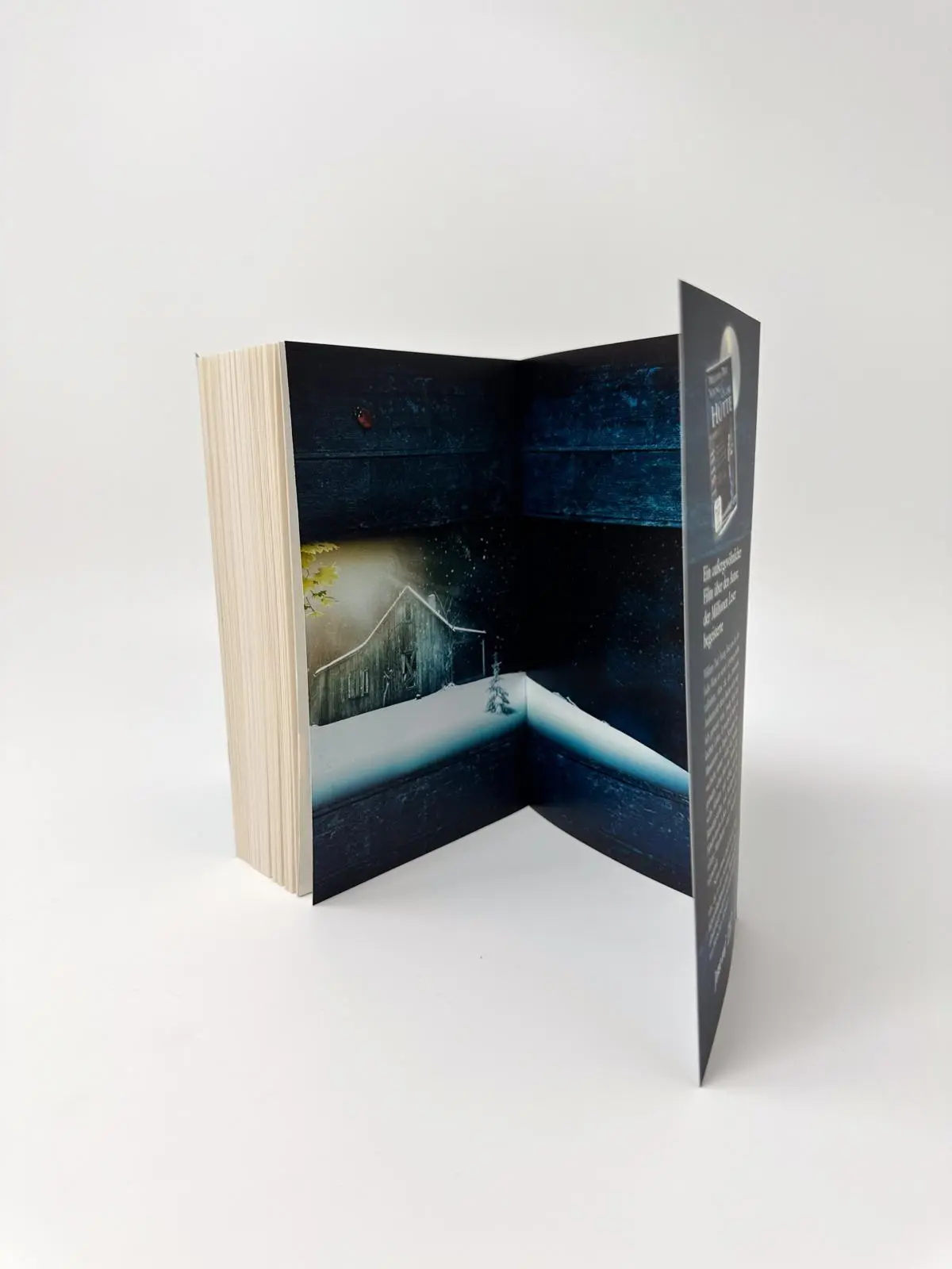 Bild: 9783548284033 | Die Hütte | Ein Wochenende mit Gott | William Paul Young | Taschenbuch