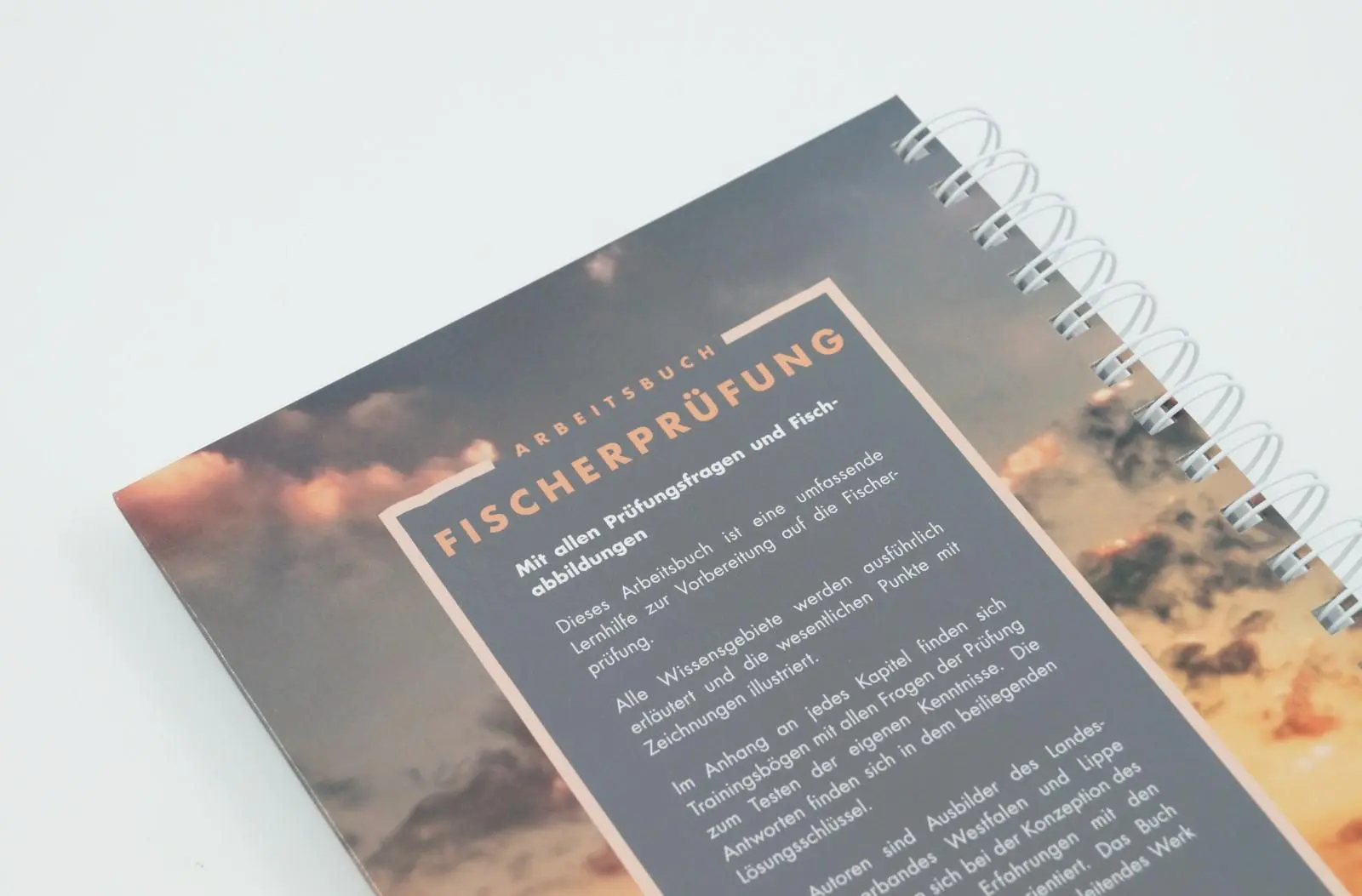 Bild: 9783784354033 | Arbeitsbuch Fischerprüfung | Manfred Hammer | Taschenbuch | 240 S.
