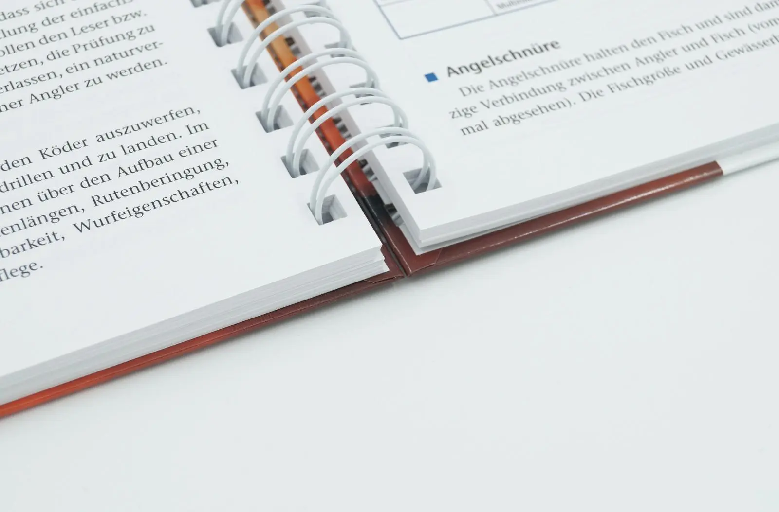 Bild: 9783784354033 | Arbeitsbuch Fischerprüfung | Manfred Hammer | Taschenbuch | 240 S.