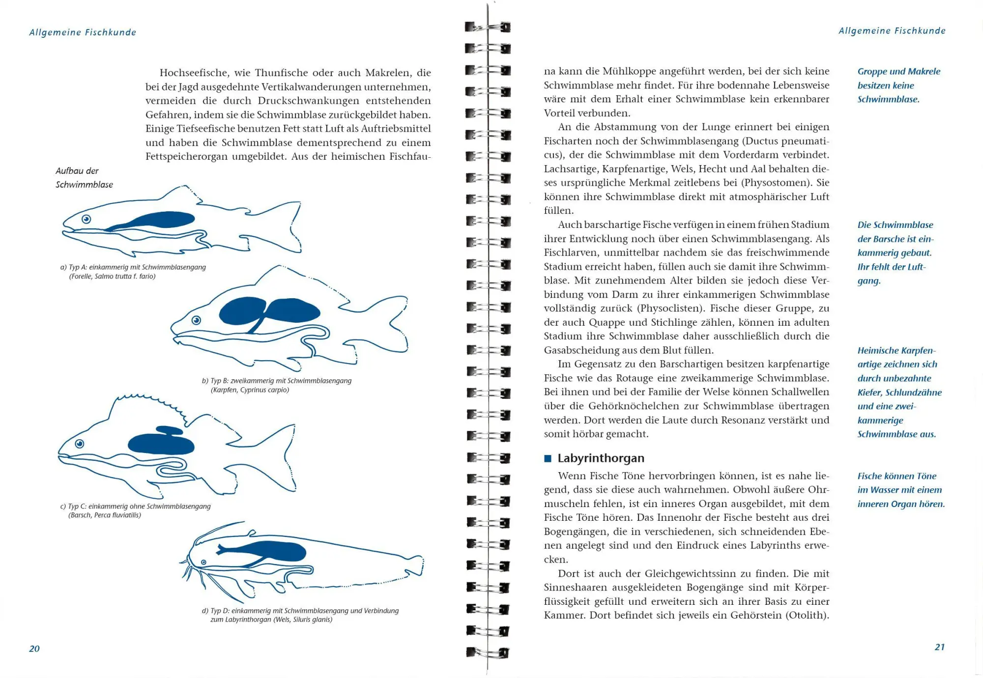 Bild: 9783784354033 | Arbeitsbuch Fischerprüfung | Manfred Hammer | Taschenbuch | 240 S.