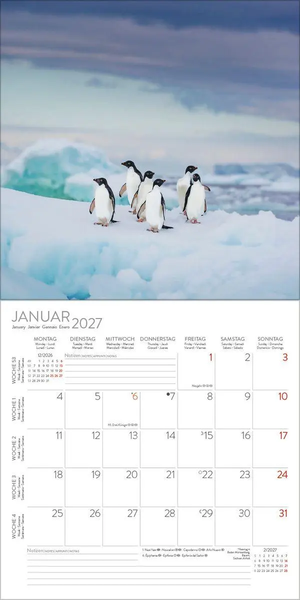 Bild: 9783819304033 | Pinguine 2027 | Verlag Korsch | Kalender | 13 S. | Deutsch | 2027