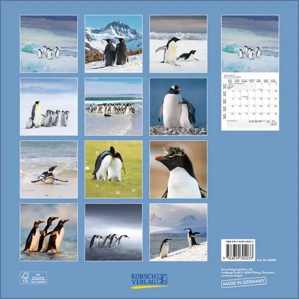 Bild: 9783819304033 | Pinguine 2027 | Verlag Korsch | Kalender | 13 S. | Deutsch | 2027