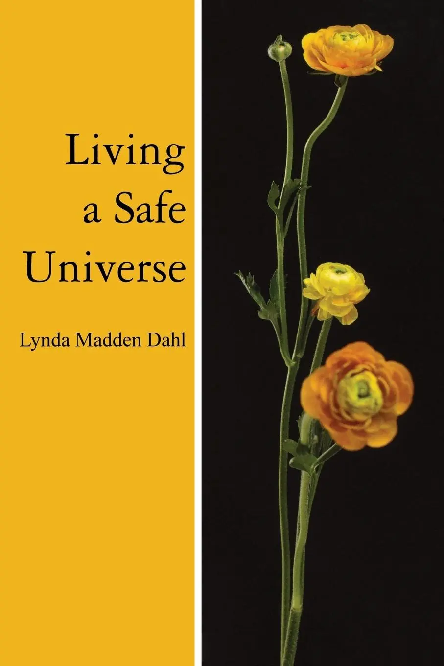 Cover: 9781889964133 | Living a Safe Universe | A Book for Seth Readers | Lynda Madden Dahl