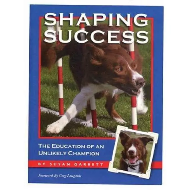 Cover: 9781892694133 | Shaping Success | Susan Garrett | Taschenbuch | Englisch | 2016