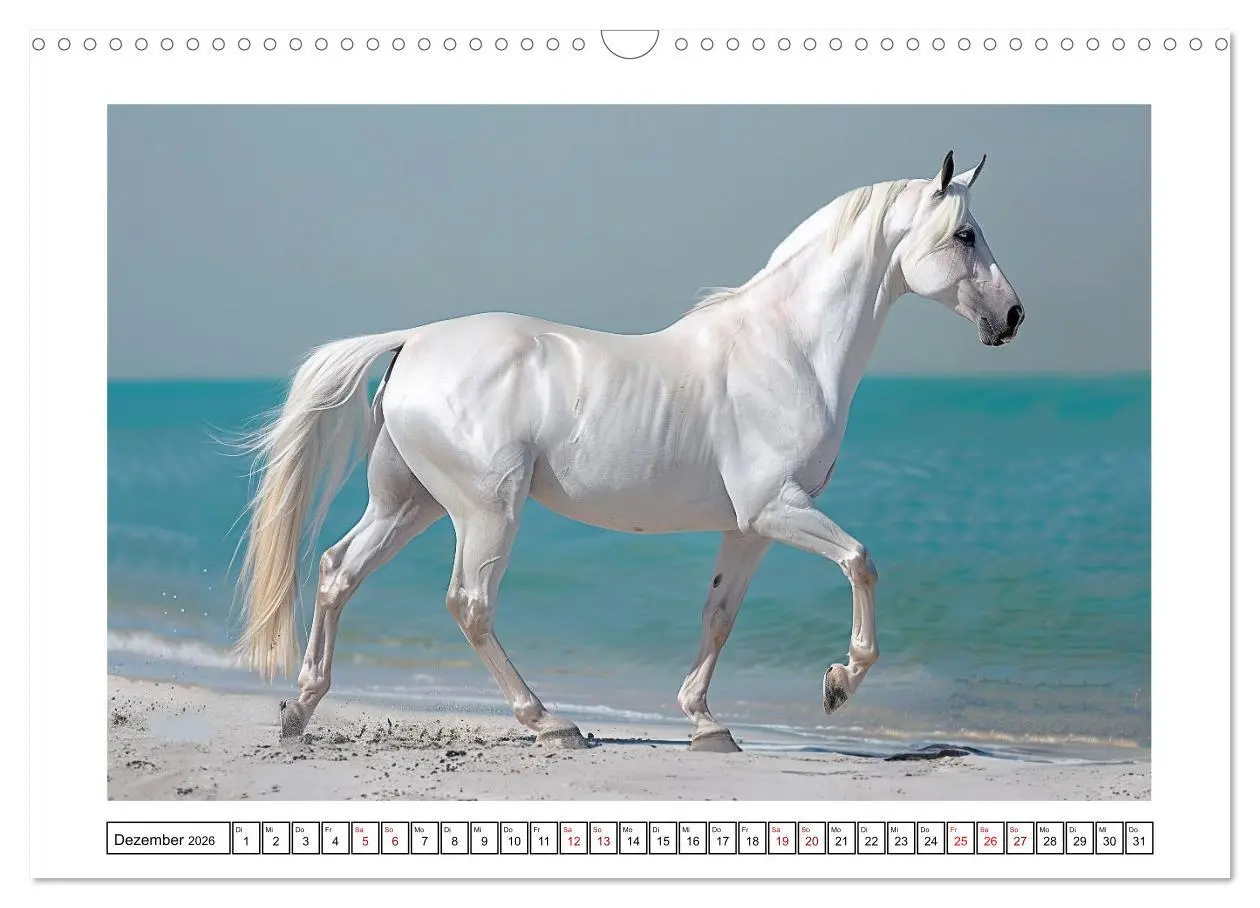 Bild: 9783457404133 | Bezaubernde Eleganz weißer Pferde (Wandkalender 2026 DIN A3 quer),...