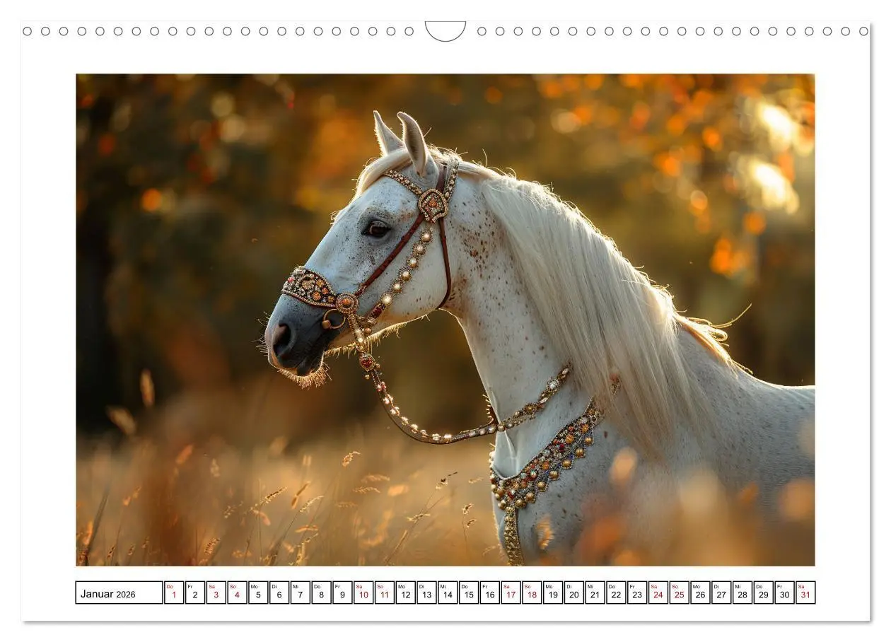Bild: 9783457404133 | Bezaubernde Eleganz weißer Pferde (Wandkalender 2026 DIN A3 quer),...