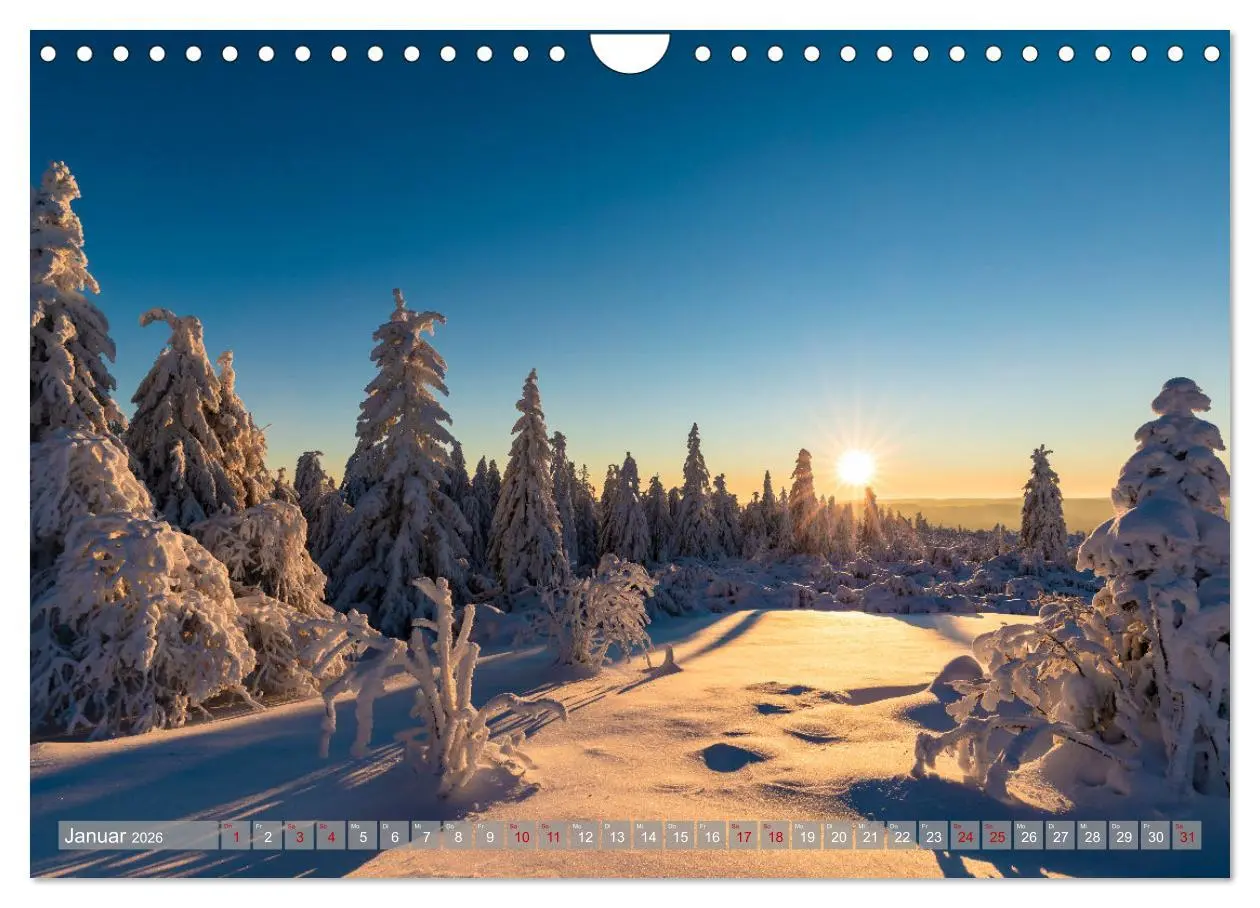 Bild: 9783457644133 | Ein Jahr im Schwarzwald (Wandkalender 2026 DIN A4 quer), CALVENDO...