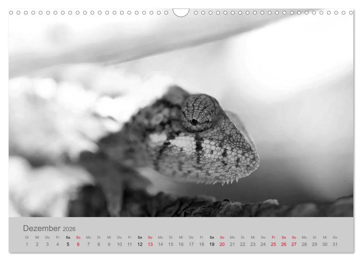Bild: 9783457884133 | Die Seelen der wilden Tiere (Wandkalender 2026 DIN A3 quer),...