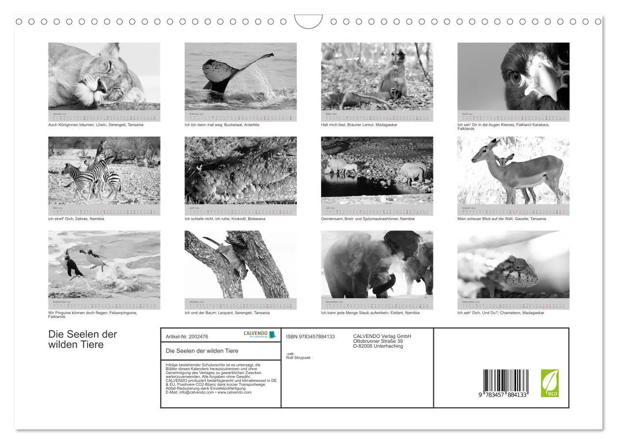 Bild: 9783457884133 | Die Seelen der wilden Tiere (Wandkalender 2026 DIN A3 quer),...