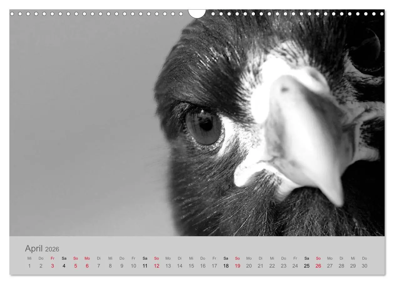 Bild: 9783457884133 | Die Seelen der wilden Tiere (Wandkalender 2026 DIN A3 quer),...
