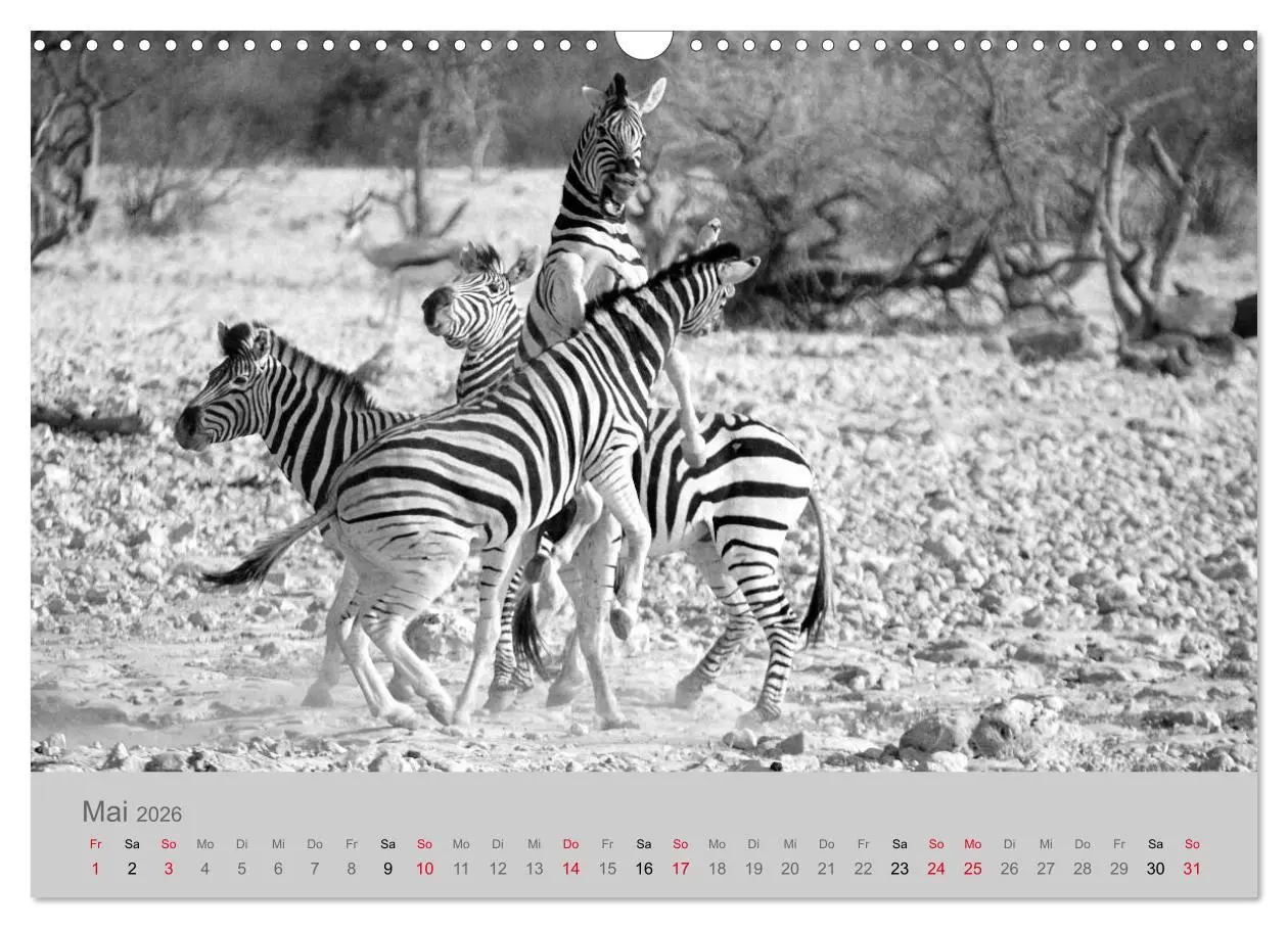 Bild: 9783457884133 | Die Seelen der wilden Tiere (Wandkalender 2026 DIN A3 quer),...