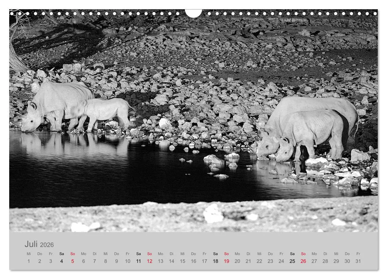 Bild: 9783457884133 | Die Seelen der wilden Tiere (Wandkalender 2026 DIN A3 quer),...