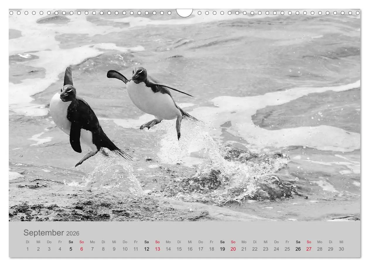 Bild: 9783457884133 | Die Seelen der wilden Tiere (Wandkalender 2026 DIN A3 quer),...