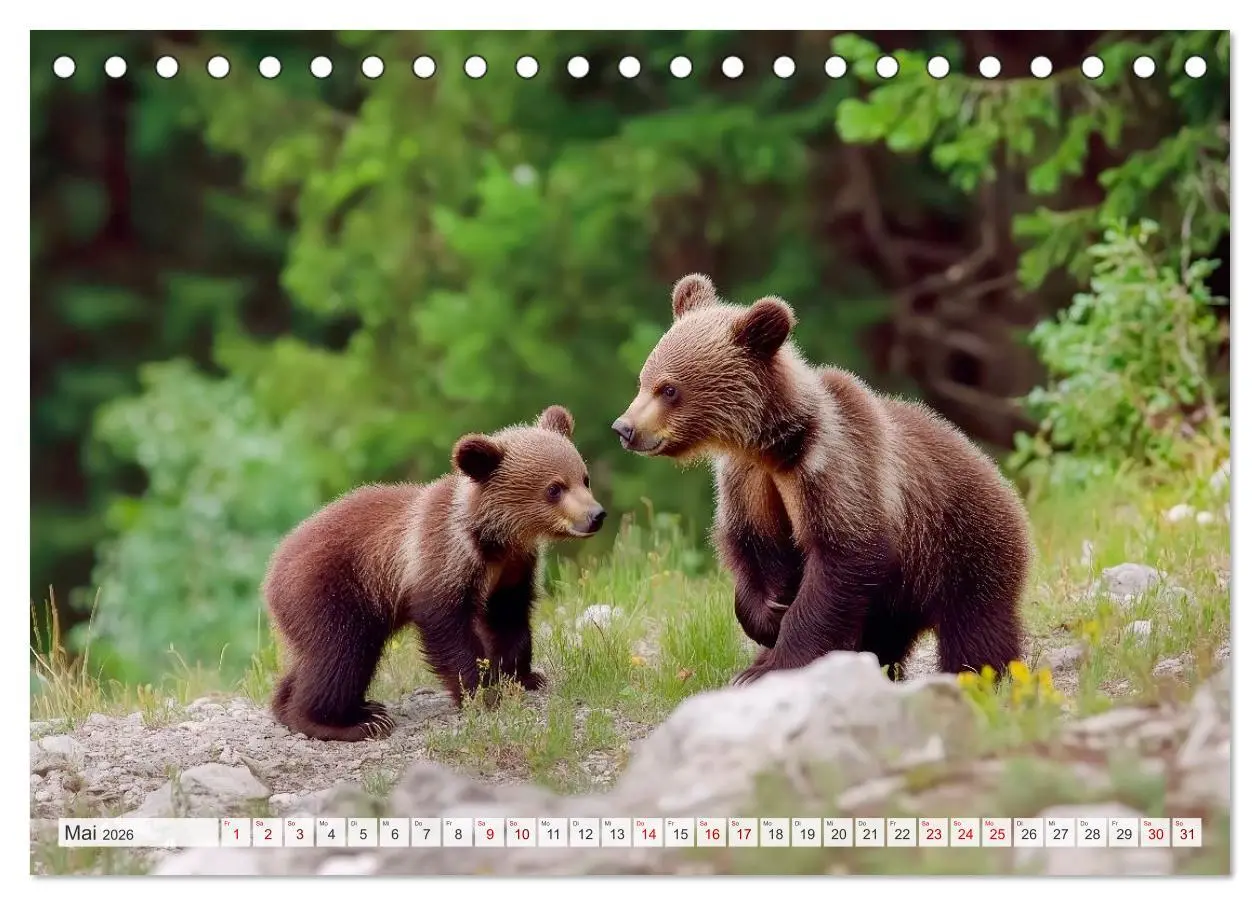 Bild: 9783516594133 | TIERKINDER Abenteuer Wildnis (Tischkalender 2026 DIN A5 quer),...
