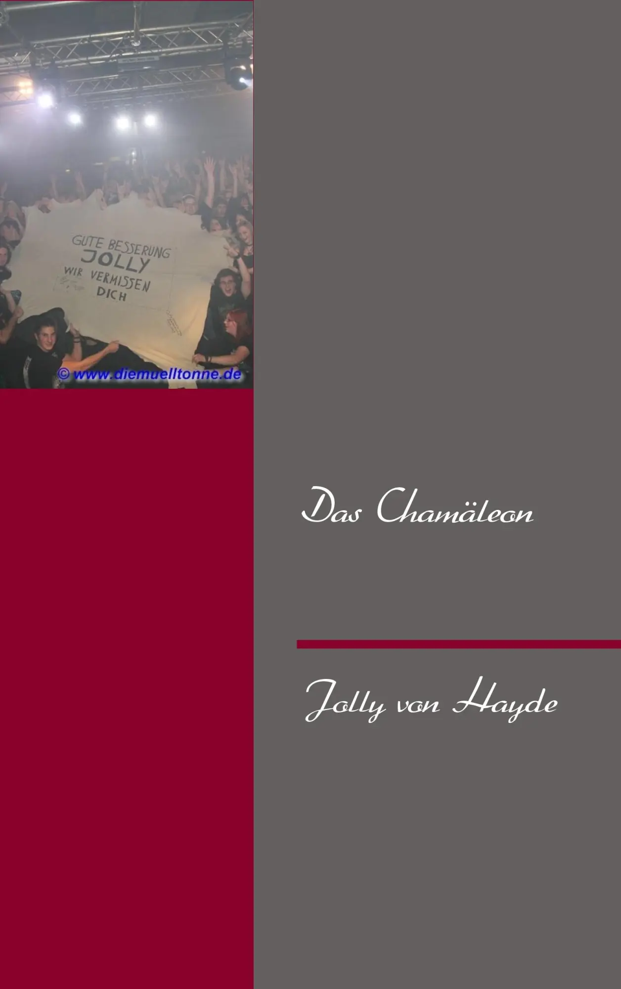Cover: 9783732244133 | Das Chamäleon | Jolly von Hayde | Taschenbuch | 192 S. | Deutsch