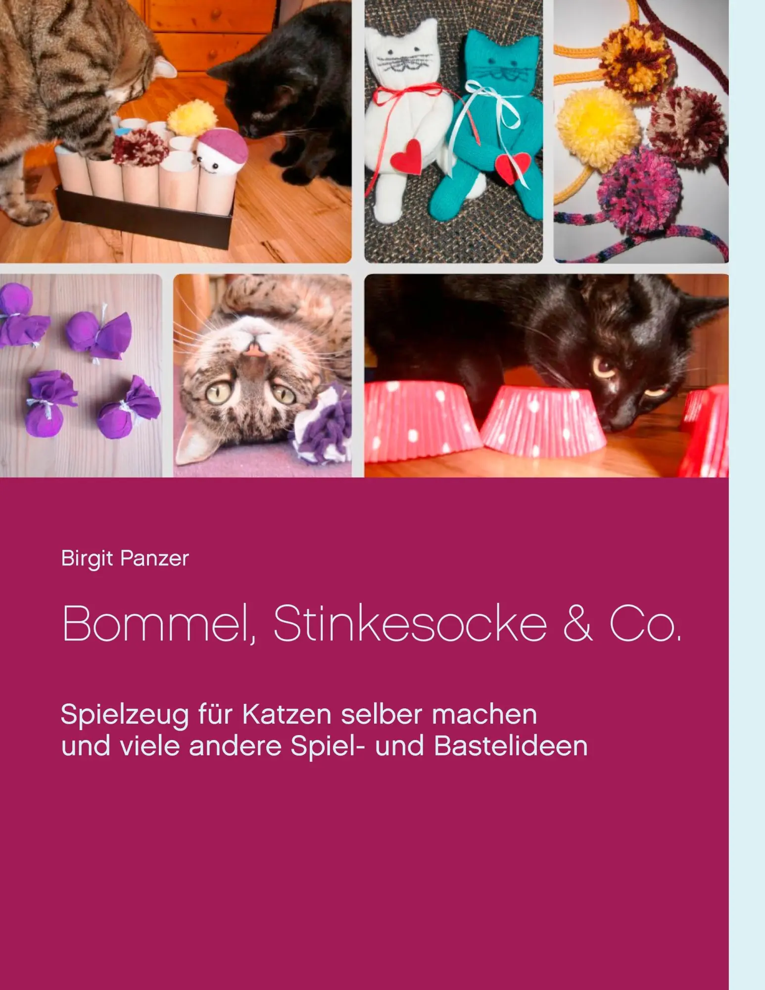 Cover: 9783734774133 | Bommel, Stinkesocke &amp; Co. | Birgit Panzer | Taschenbuch | 80 S. | 2015