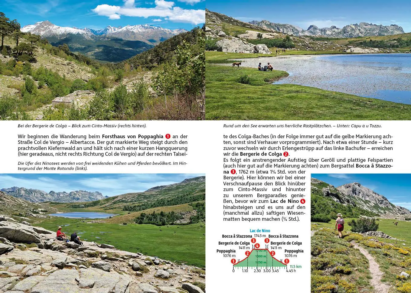 Bild: 9783763314133 | Korsika | Klaus Wolfsperger | Taschenbuch | Rother Wanderführer | 2025