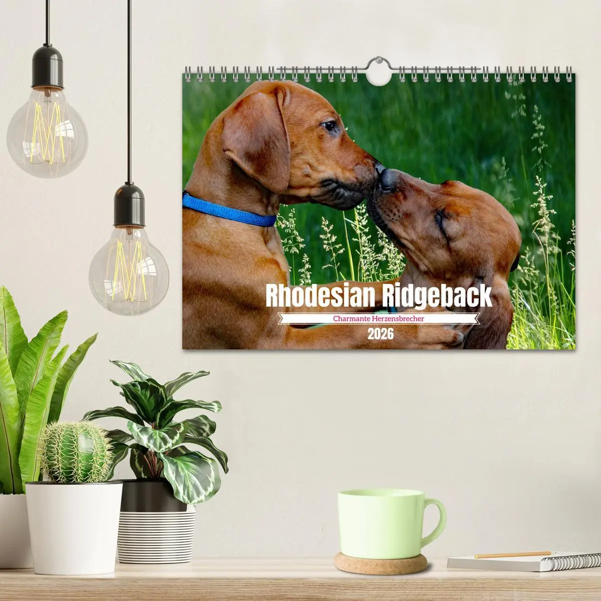 Bild: 9783457564233 | Rhodesian Ridgeback, Charmante Herzensbrecher (Wandkalender 2026...