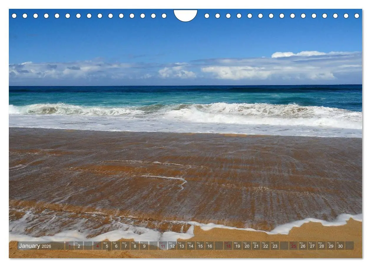 Bild: 9783516584233 | The Paradise of Hawaii (Wall Calendar 2026 DIN A4 landscape),...