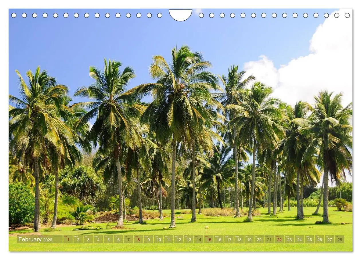 Bild: 9783516584233 | The Paradise of Hawaii (Wall Calendar 2026 DIN A4 landscape),...