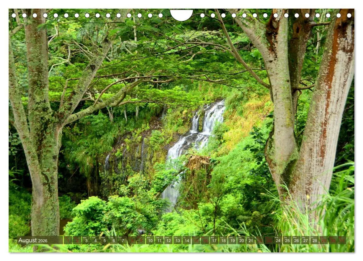 Bild: 9783516584233 | The Paradise of Hawaii (Wall Calendar 2026 DIN A4 landscape),...