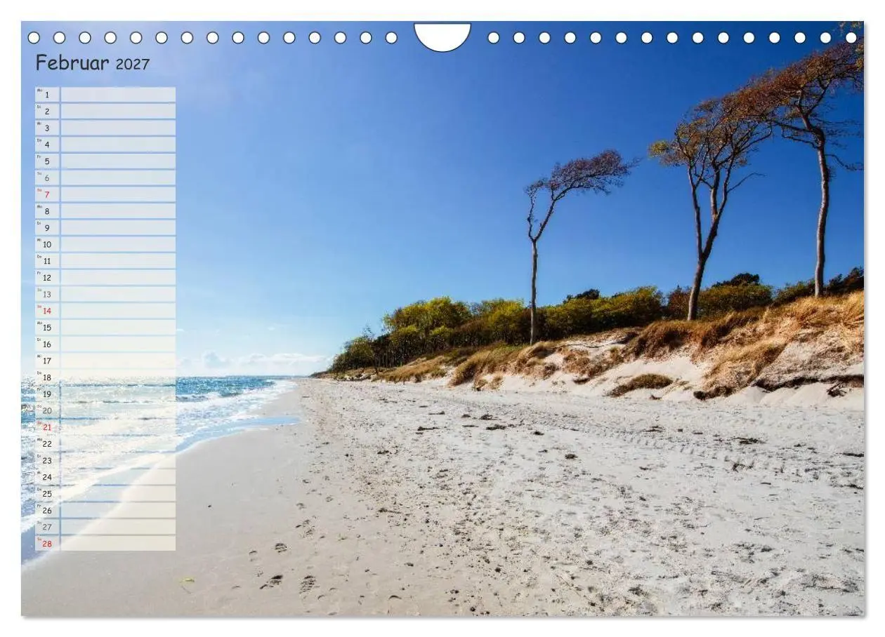Bild: 9783594014233 | Lichtspiele auf der Halbinsel Darß (Wandkalender 2027 DIN A4 quer),...