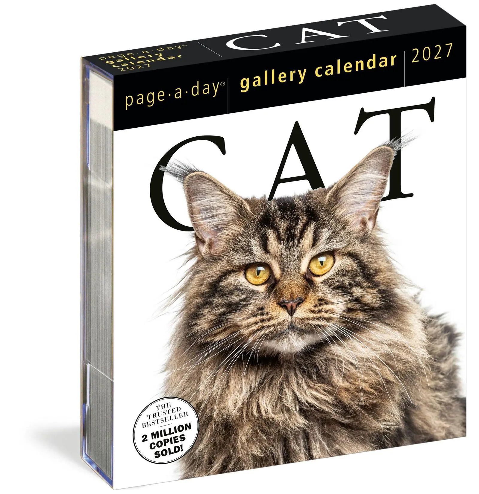 Cover: 9781523534333 | Cat Page-A-Day® Gallery Calendar 2027 | Kalender | Englisch | 2027