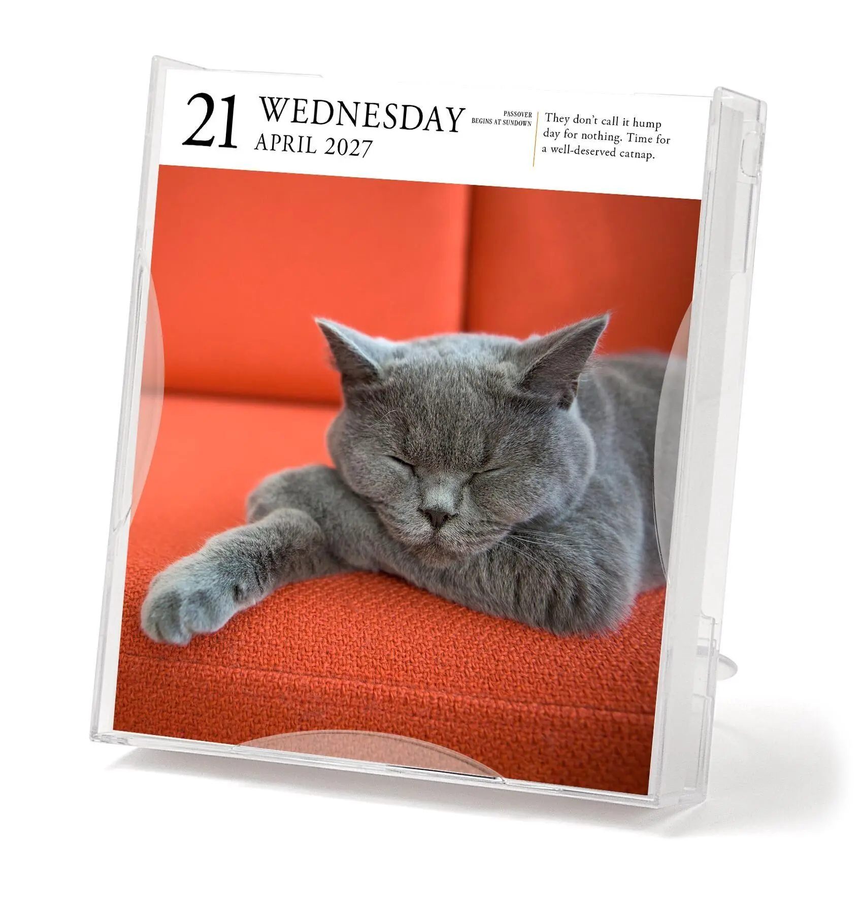 Bild: 9781523534333 | Cat Page-A-Day® Gallery Calendar 2027 | Kalender | Englisch | 2027