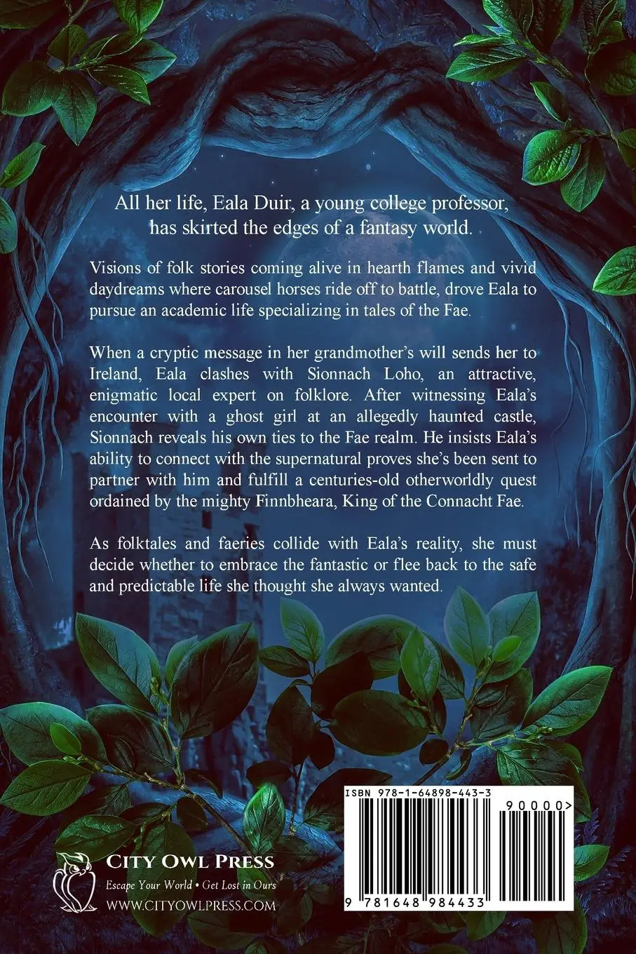 Rückseite: 9781648984433 | A Kingdom of Souls and Shadows | Leslie O'Sullivan | Taschenbuch