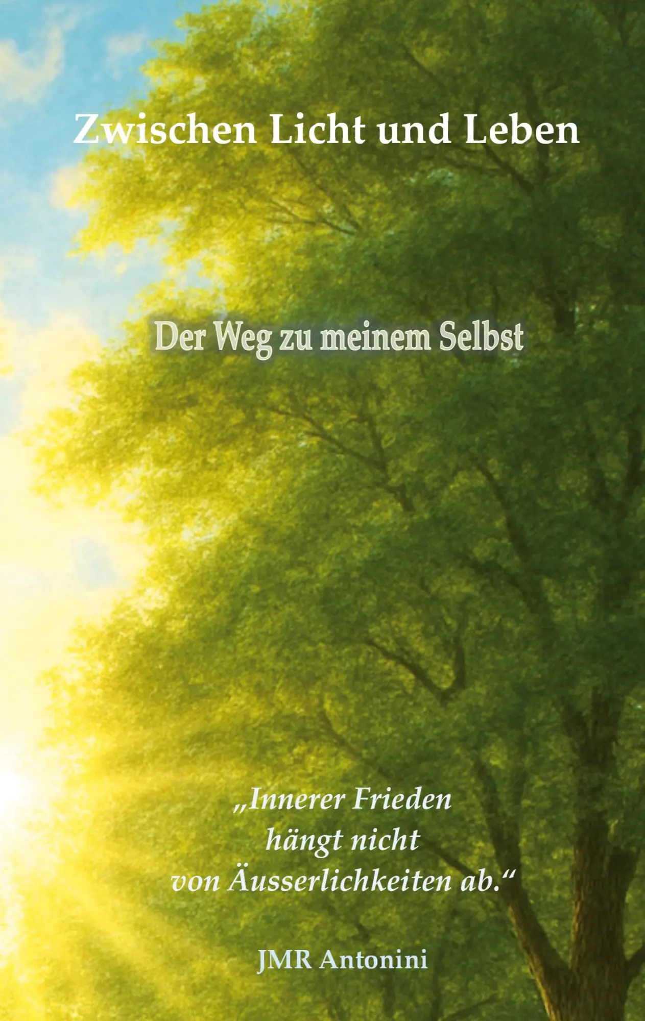 Cover: 9783695144433 | Zwischen Licht und Leben | Der Weg zu meinem Selbst | Jmr Antonini