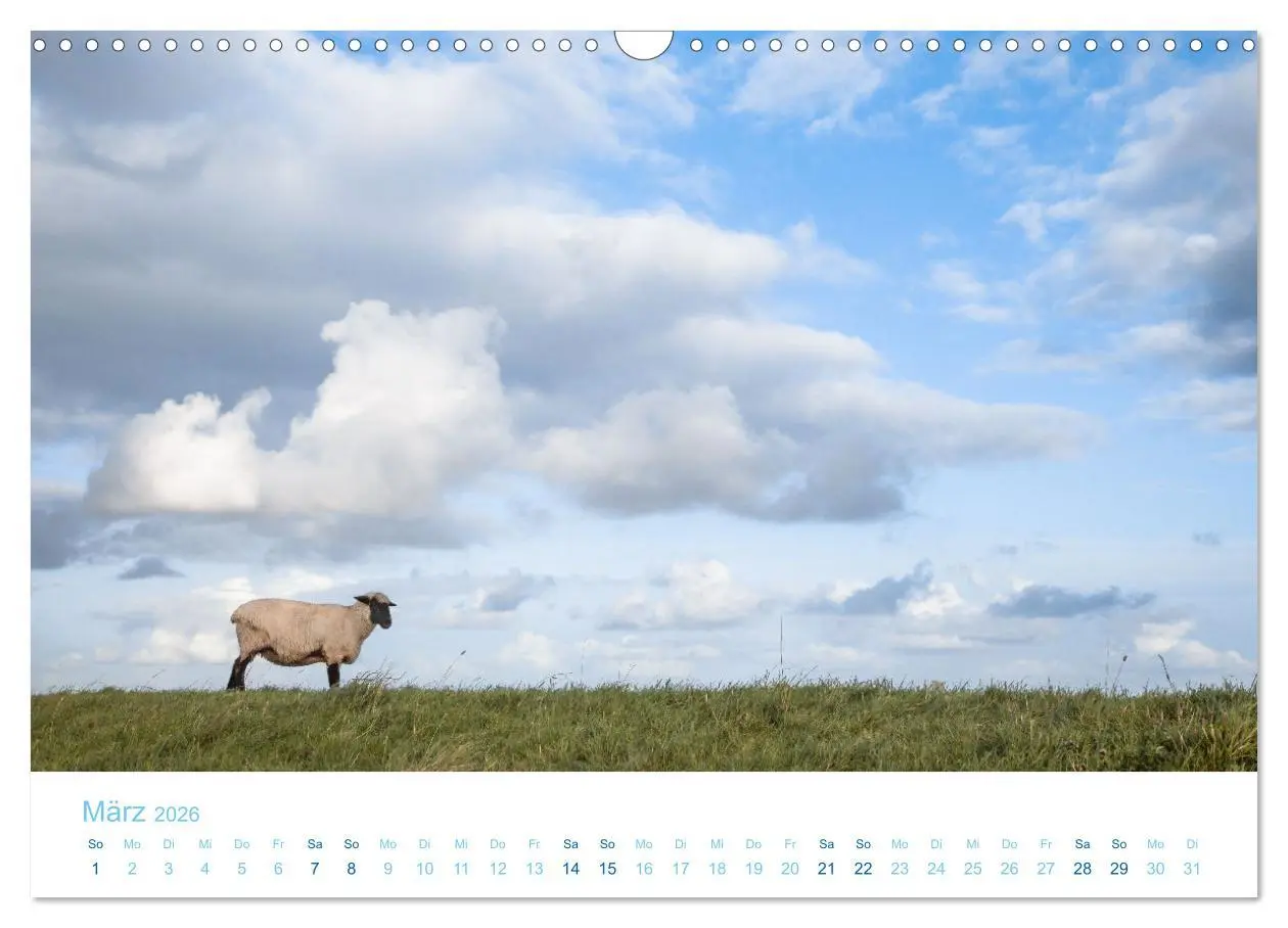 Bild: 9783457914533 | Mehr Nordsee (Wandkalender 2026 DIN A3 quer), CALVENDO Monatskalender
