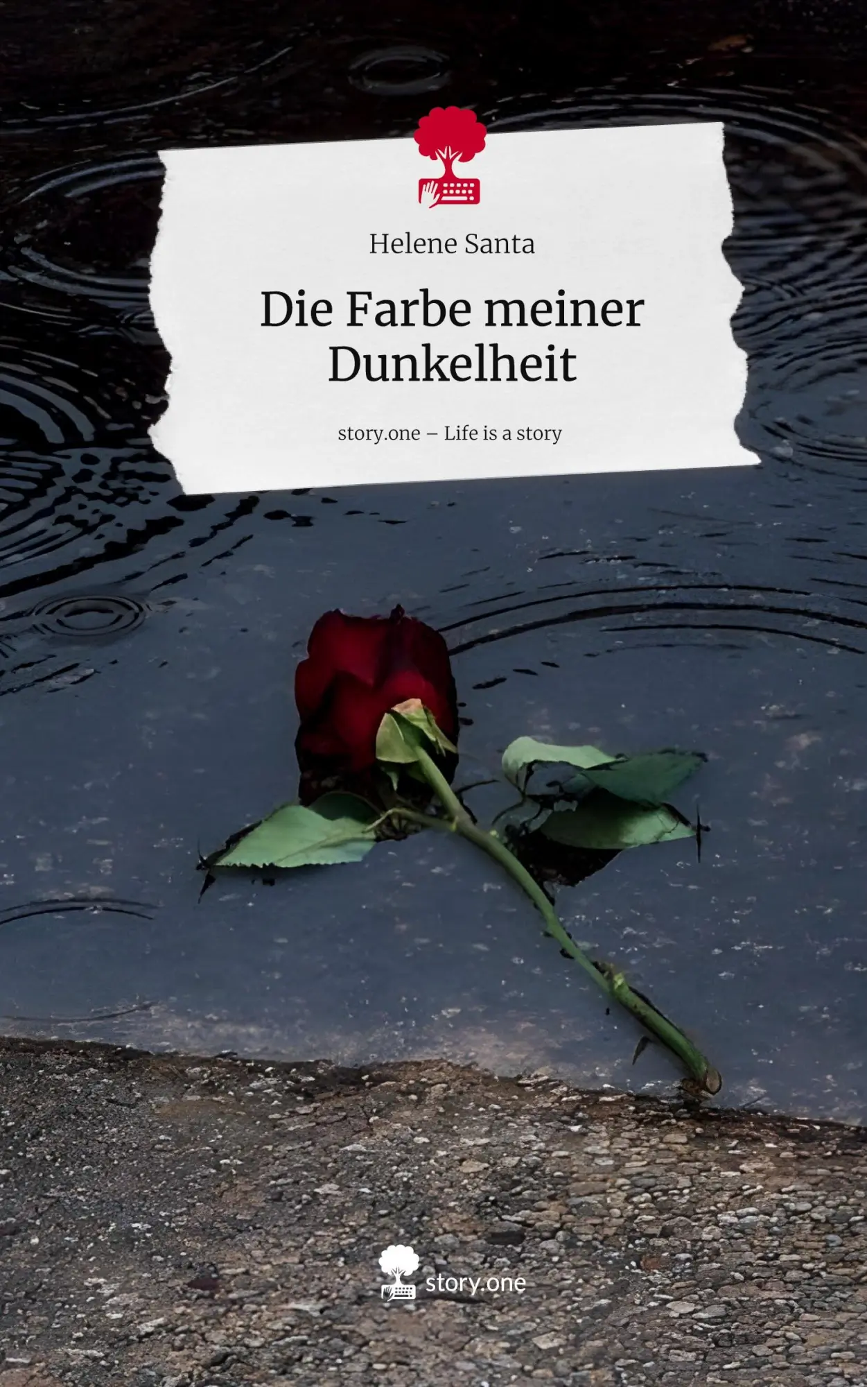Cover: 9783711584533 | Die Farbe meiner Dunkelheit. Life is a Story - story.one | Santa