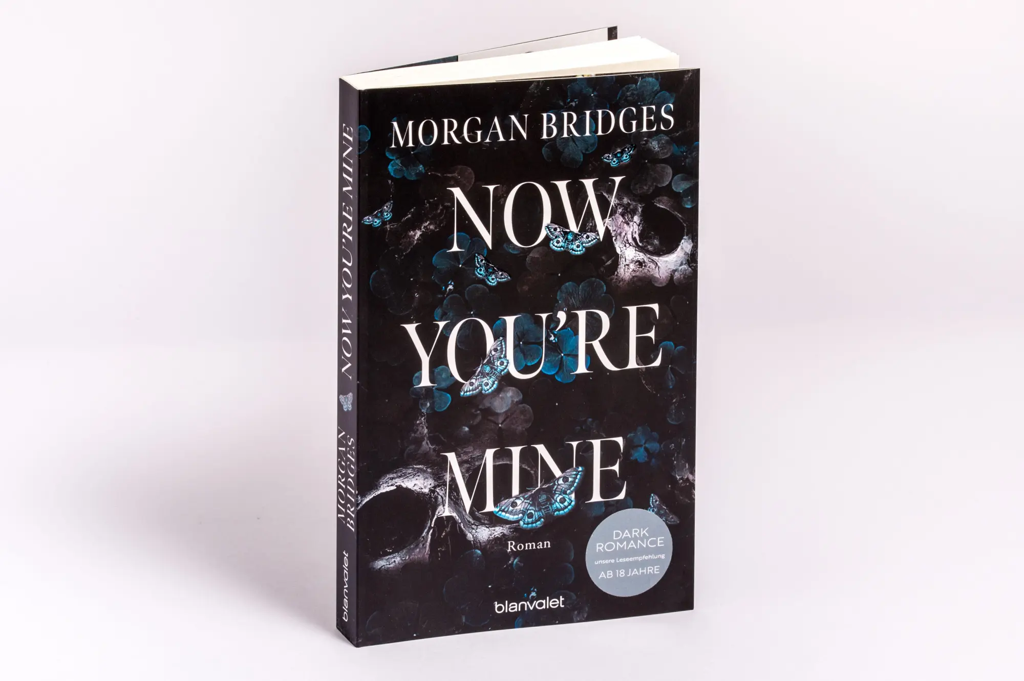 Bild: 9783734114533 | Now You're Mine | Morgan Bridges | Taschenbuch | Possessing Her | 2025