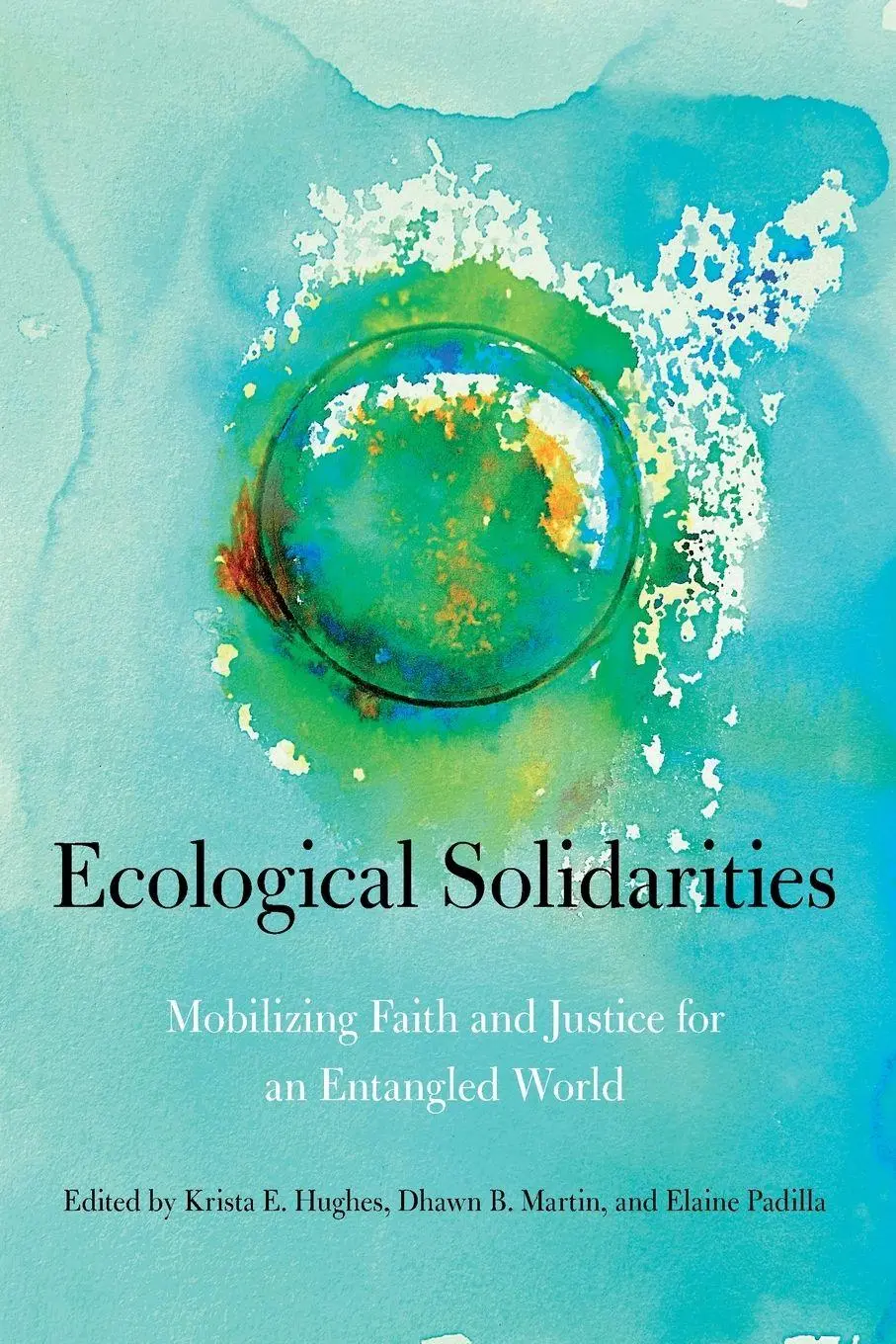 Cover: 9780271084633 | Ecological Solidarities | Krista Hughes | Taschenbuch | Englisch