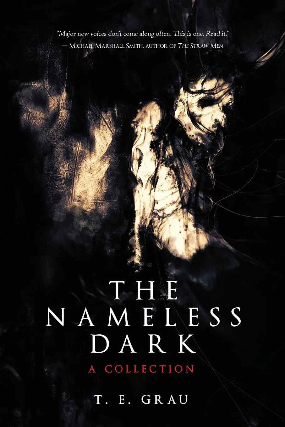 Cover: 9781590214633 | The Nameless Dark | T. E. Grau | Taschenbuch | Kartoniert / Broschiert