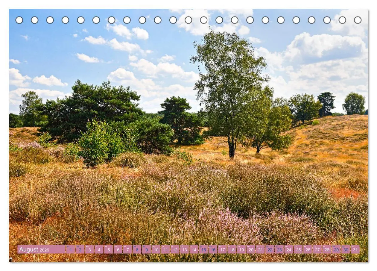 Bild: 9783457454633 | Haltern am See (Tischkalender 2026 DIN A5 quer), CALVENDO...