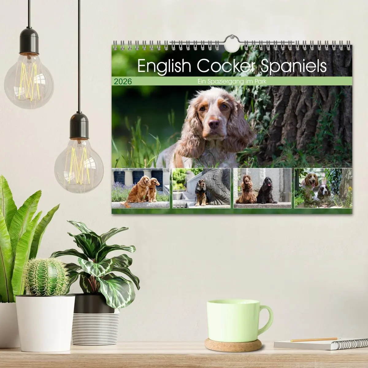 Bild: 9783457904633 | English Cocker Spaniels - Ein Spaziergang im Park (Wandkalender...