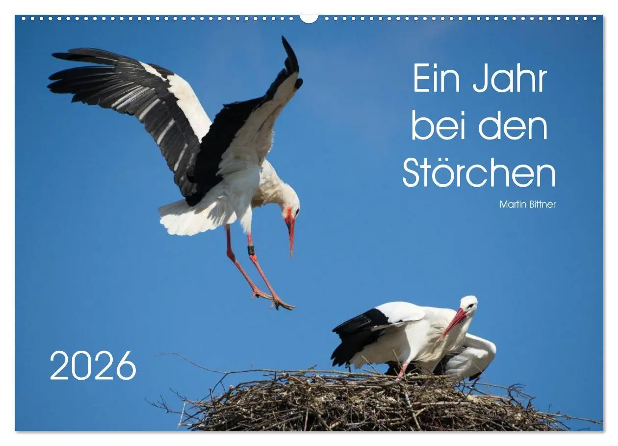 Cover: 9783457994733 | Ein Jahr bei den Störchen (Wandkalender 2026 DIN A2 quer), CALVENDO...