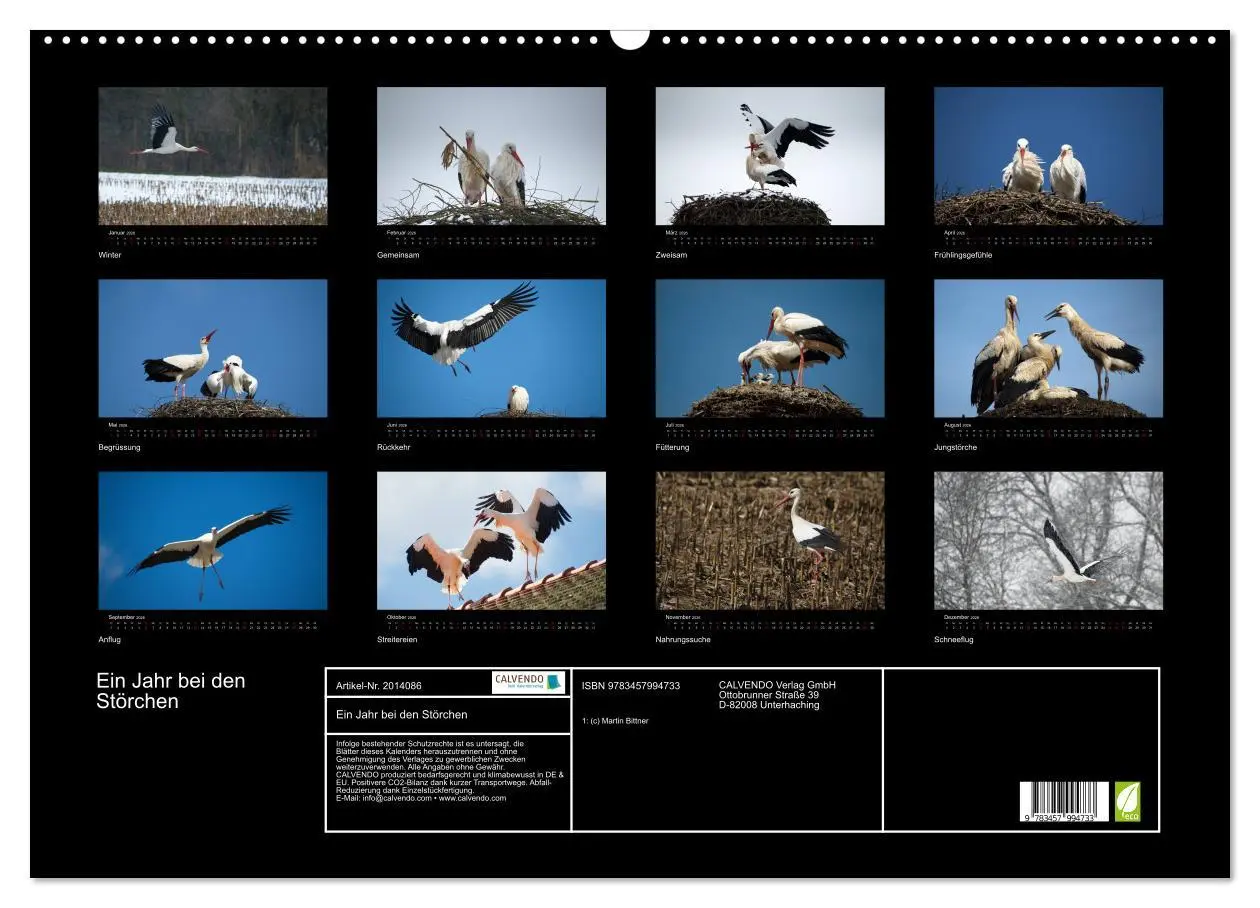 Bild: 9783457994733 | Ein Jahr bei den Störchen (Wandkalender 2026 DIN A2 quer), CALVENDO...