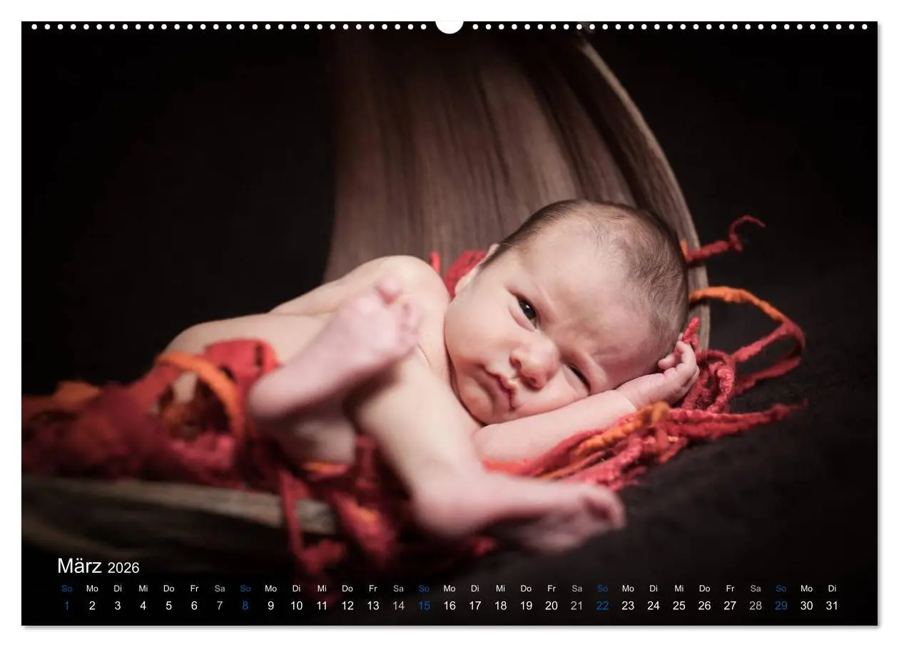 Bild: 9783516084733 | Baby - süße Träume (hochwertiger Premium Wandkalender 2026 DIN A2...