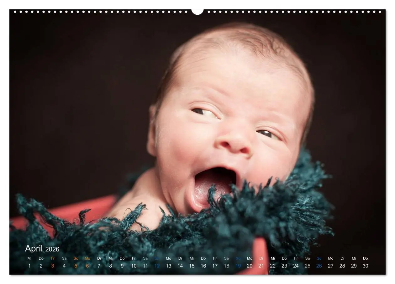 Bild: 9783516084733 | Baby - süße Träume (hochwertiger Premium Wandkalender 2026 DIN A2...
