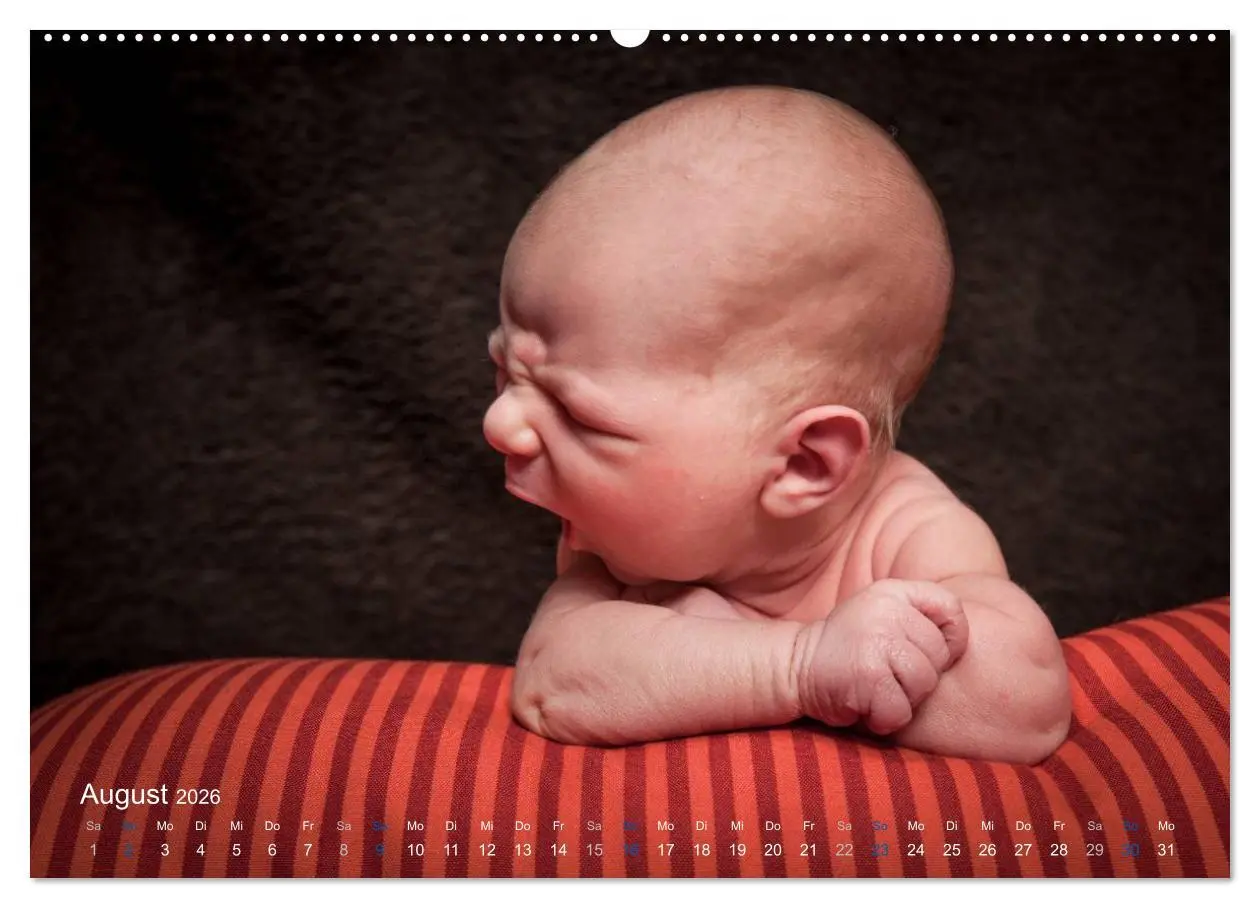 Bild: 9783516084733 | Baby - süße Träume (hochwertiger Premium Wandkalender 2026 DIN A2...