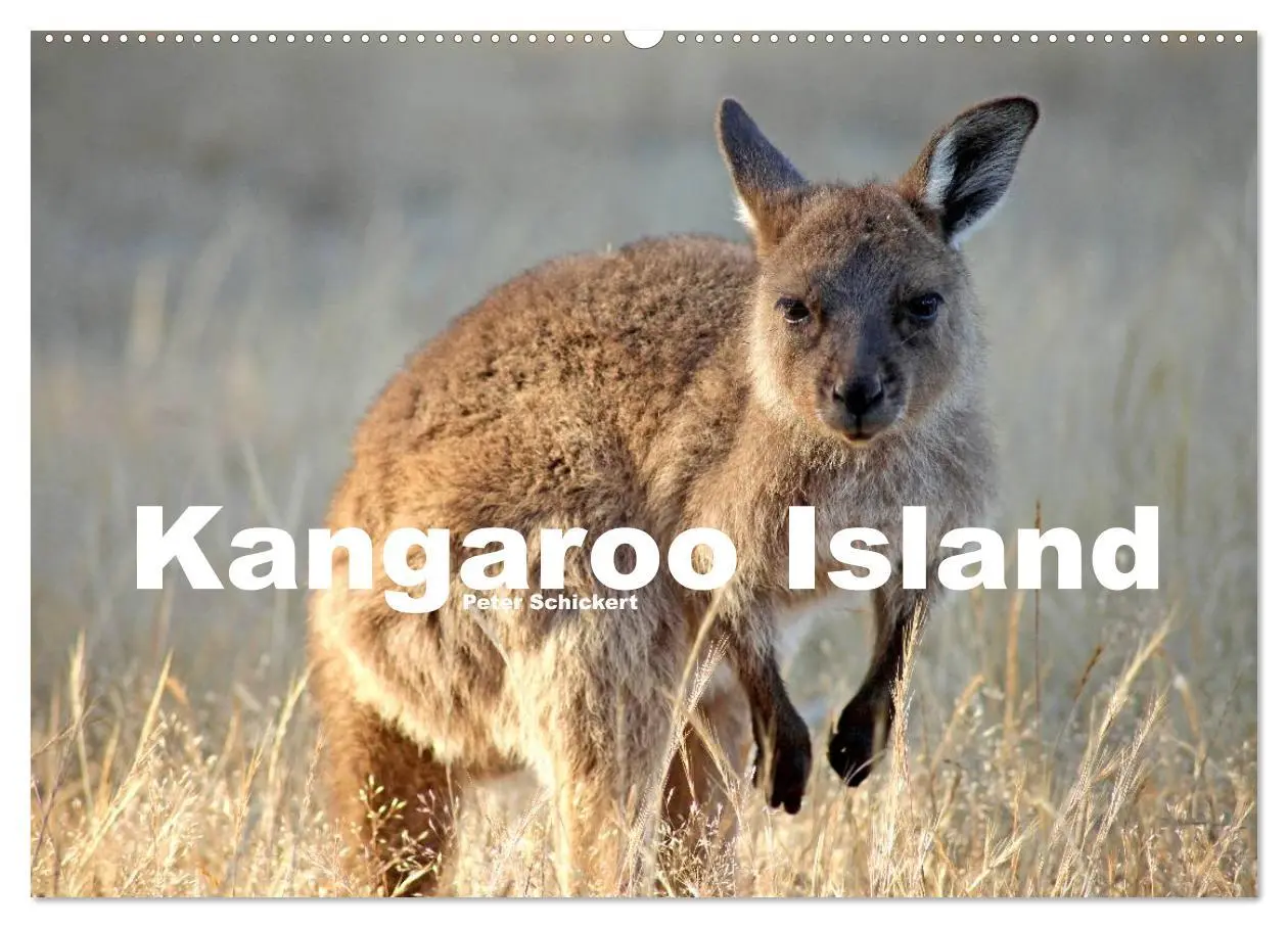 Cover: 9783516224733 | Kangaroo Island (Wandkalender 2026 DIN A2 quer), CALVENDO...